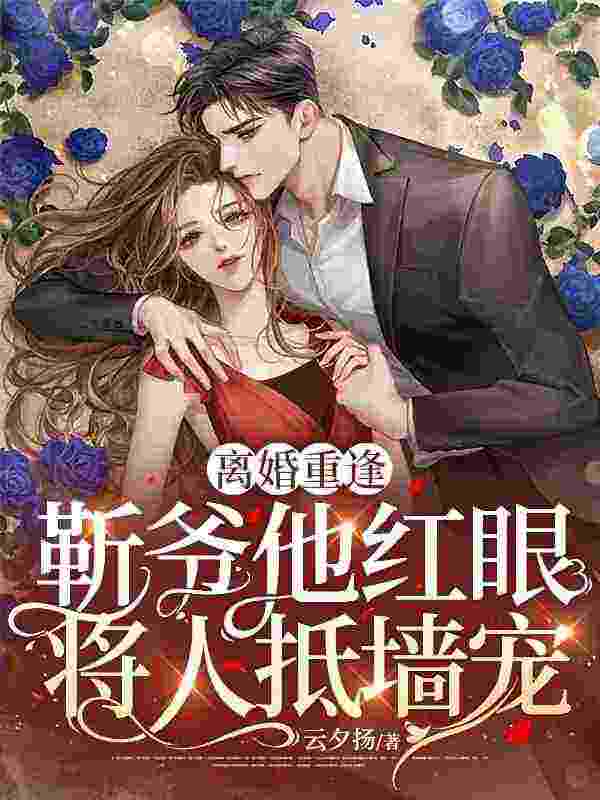 离婚重逢，靳爷他红眼将人抵墙宠小说，离婚重逢，靳爷他红眼将人抵墙宠苏落陆靳深