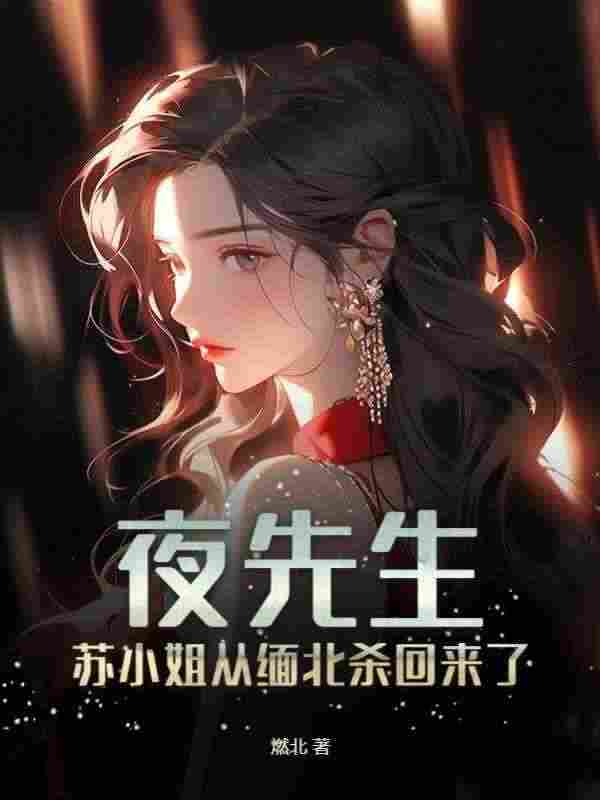 苏清婉夜寻（夜先生，苏小姐从缅北杀回来了）小说无弹窗无广告全本免费阅读