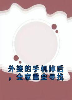 外婆的手机掉后，全家重金寻找