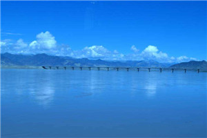 流光芒影（任若罗新）全文免费阅读无弹窗大结局_流光芒影最新章节列表